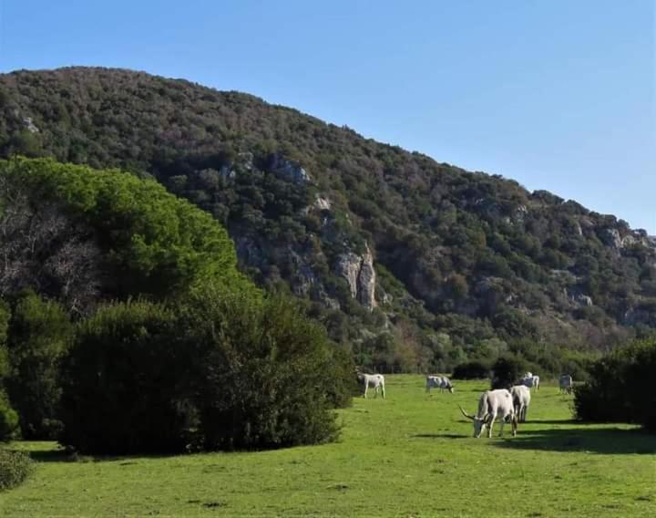 Hotel B&B Rispescia Grosseto المظهر الخارجي الصورة
