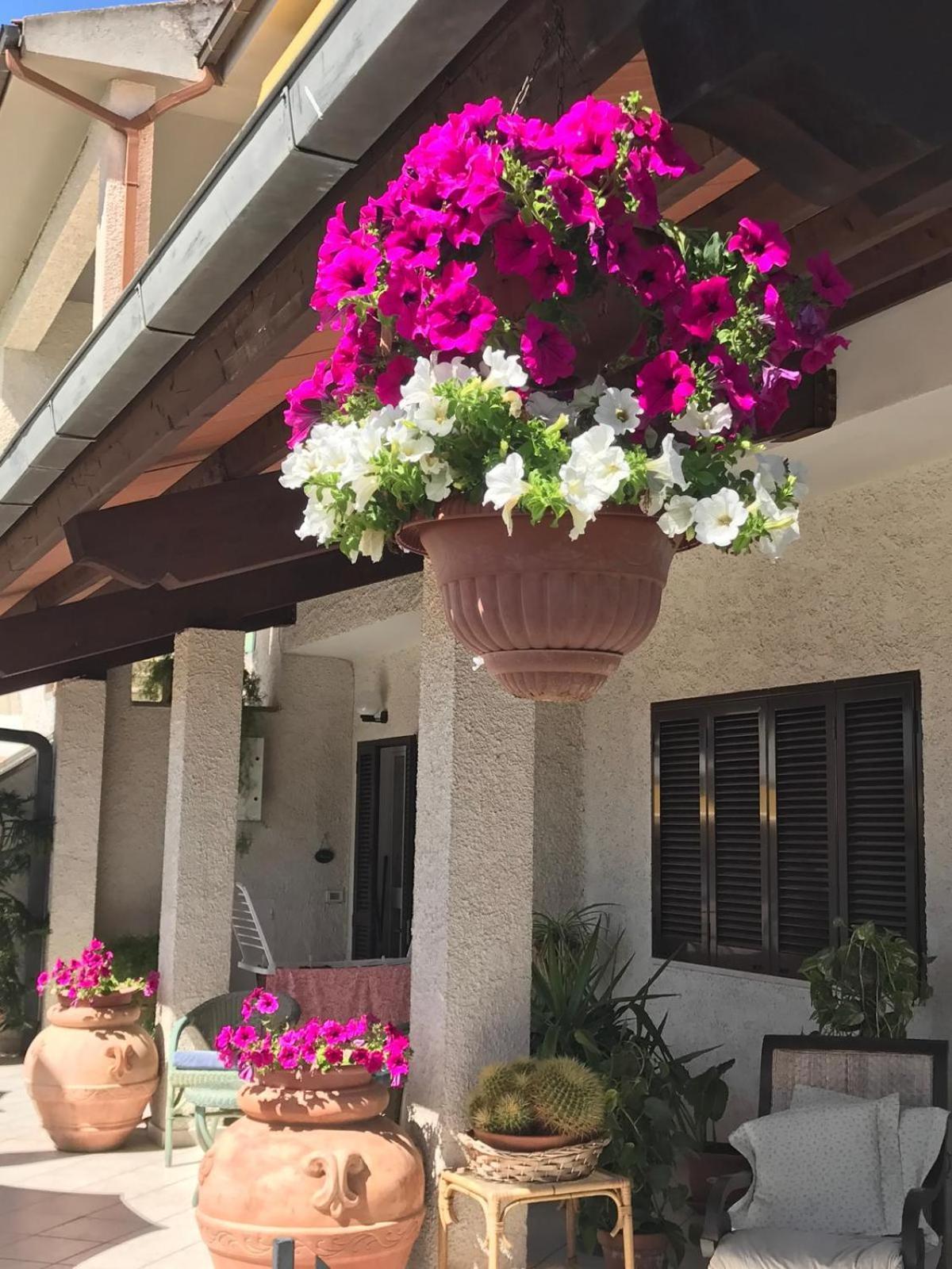 Hotel B&B Rispescia Grosseto المظهر الخارجي الصورة