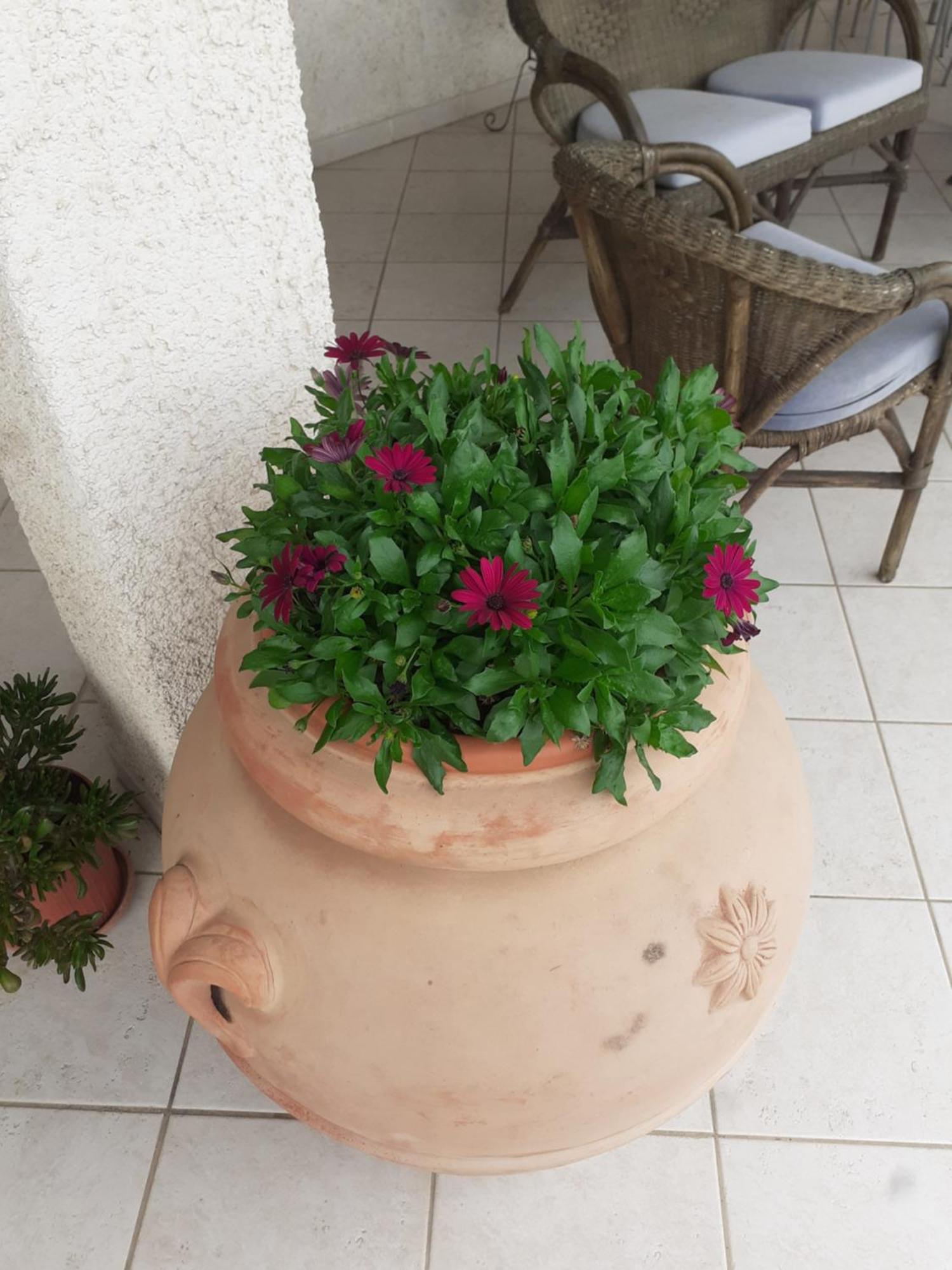 Hotel B&B Rispescia Grosseto المظهر الخارجي الصورة