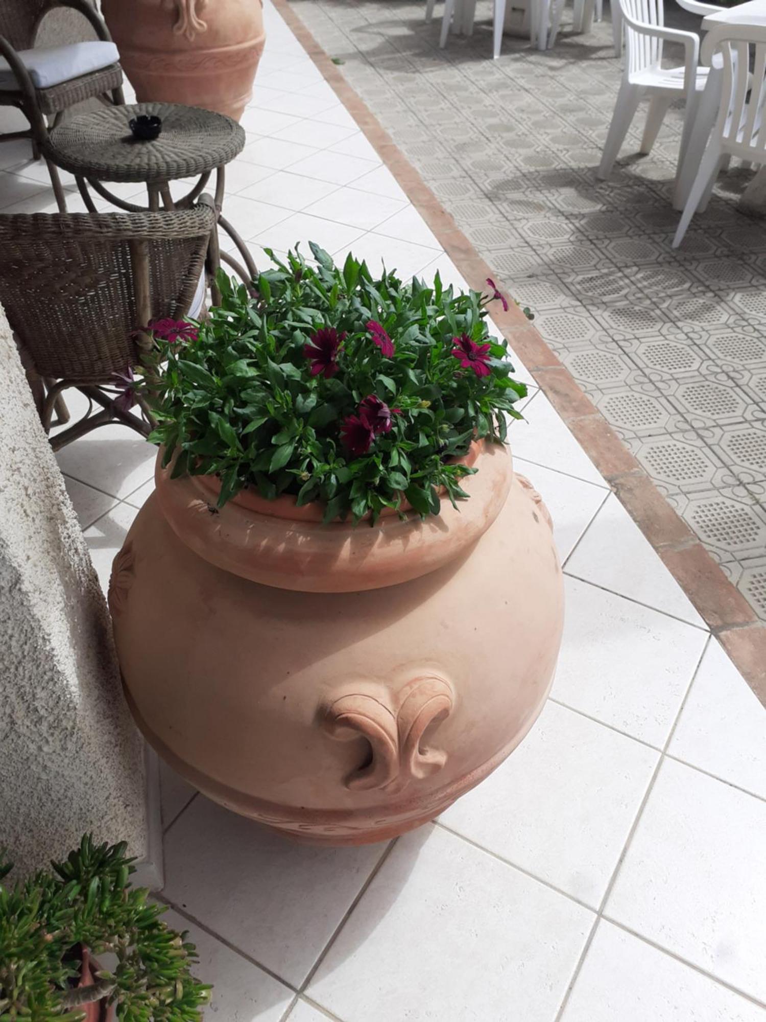 Hotel B&B Rispescia Grosseto المظهر الخارجي الصورة