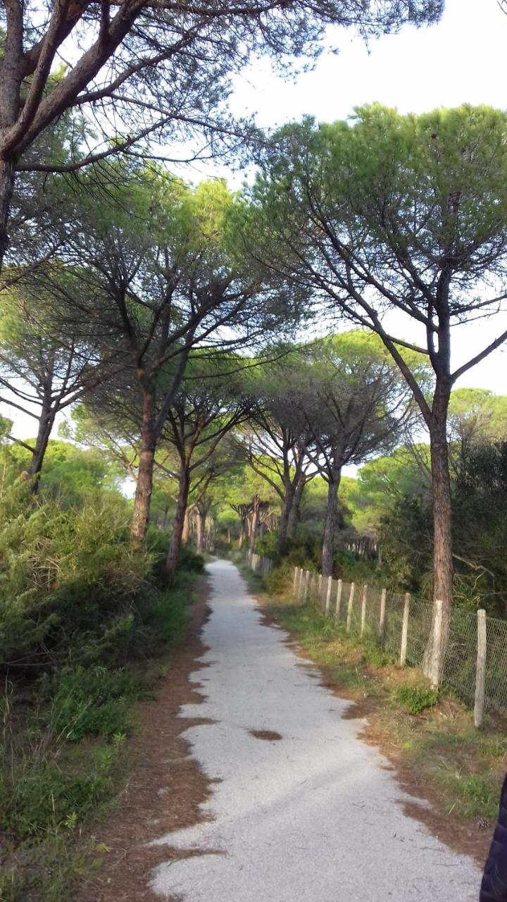 Hotel B&B Rispescia Grosseto المظهر الخارجي الصورة